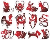 越活越让人羡慕的生肖女(如何保持青春活力)