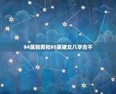 94属狗男和95属猪女八字合不(命理学介绍两人缘分是否能长久)