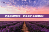 95年属猪的姻缘，95年配91年姻缘好吗?