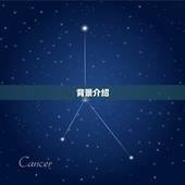 2023谁最旺金牛座(星座专家介绍这3个星座最有机会)