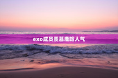 exo成员羡慕鹿晗人气