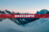 游戏名字大全霸气的