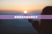 感恩朋友的最经典句子