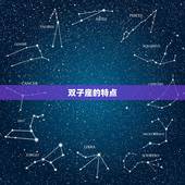 双子座克星是哪个星座(介绍星座界的绝配)