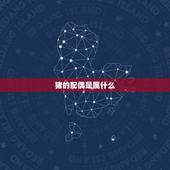 猪的配偶是属什么(如何选择猪的伴侣)