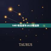 1997年生肖牛2023年运势(牛转乾坤财运亨通)