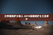 三甲医院护士收入 2019县医院护士工资多少