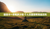 医保卡一年有多少钱 个人交医保有钱返还吗