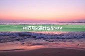 60万可以买什么车SUV