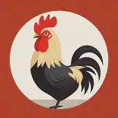 属鸡的是哪一年出生的，鸡年藏着老智慧