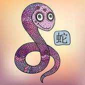 属蛇和什么属相最配相克(如何避免相克找到最佳配对)