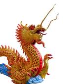 88年属龙人运势如何呢(2023年运势大揭秘)