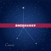 草字头的女孩名字属兔(寻找属相匹配的幸运名字)