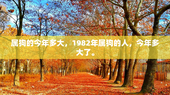属狗的今年多大，1982年属狗的人，今年多大了。