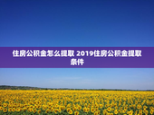 住房公积金怎么提取 2019住房公积金提取条件