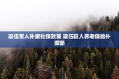 退伍军人补缴社保政策 退伍巨人养老保险补缴新