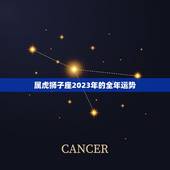 属虎狮子座2023年的全年运势(财运亨通事业顺利感情甜蜜)