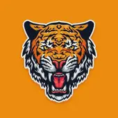 属虎今日财运走势解析：抓住三点财富关键点