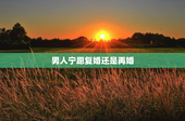 男人宁愿复婚还是再婚