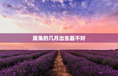 属兔的几月出生最不好