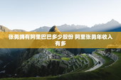 张勇拥有阿里巴巴多少股份 阿里张勇年收入有多