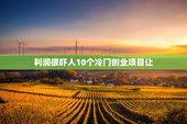 利润很吓人10个冷门创业项目让
