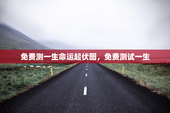 免费测一生命运起伏图，免费测试一生