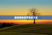 最新撩妹高手语录大全