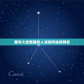 属猴的人取什么网名好(猴年大吉网名大作战)
