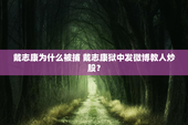戴志康为什么被捕 戴志康狱中发微博教人炒股？
