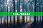 东北军67军血战上海