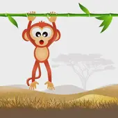 2025年运势全面解析：十二生肖每月关键节点预测