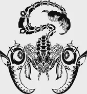 天蝎座今日运势全解析：把握三大关键点