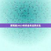 摩羯座2023年的全年运势女生(事业稳步上升感情有波折)
