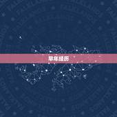 属马的人一生会有什么(驰骋人生自由奔放)