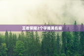 王者荣耀2个字唯美名称