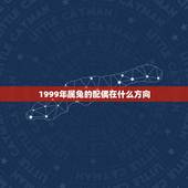 1999年属兔的配偶在什么方向(根据生肖配对，解读兔年配偶方位)