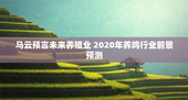 马云预言未来养殖业 2020年养鸡行业前景预测