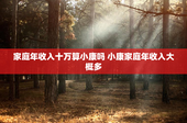 家庭年收入十万算小康吗 小康家庭年收入大概多