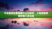 今年属兔的要佩戴什么比较好，十兔苦最命苦的兔几月出生