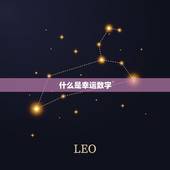 人的幸运数字怎么查询(轻松掌握介绍幸运密码)