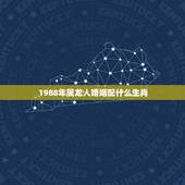 1988年属龙人婚姻配什么生肖(如何选择婚姻对象)