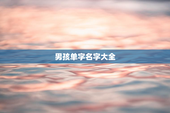 男孩单字名字大全