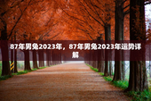 87年男兔2023年，87年男兔2023年运势详解