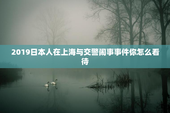 2019日本人在上海与交警闹事事件你怎么看待