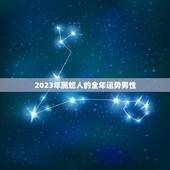 2023年属蛇人的全年运势男性(事业稳步上升感情顺利发展)