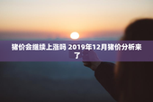 猪价会继续上涨吗 2019年12月猪价分析来了