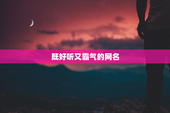 既好听又霸气的网名