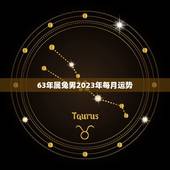 63年属兔男2023年每月运势(兔子男的好运连连财运事业双丰收)