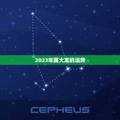 属大龙今年运势和财运(2023财运亨通但需谨慎投资)